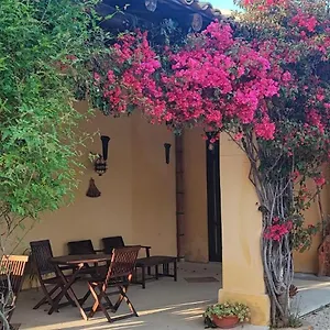 agriturismo-baglio-vecchio.sicilyhotelsitaly.net/